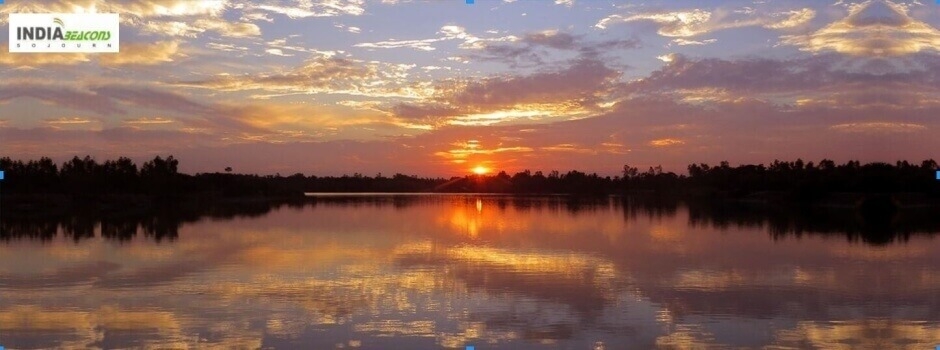 sundarbans day trip