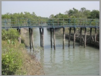 NETIDHOPANI WATCH TOWER