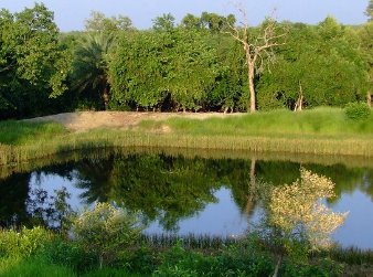 Sudhanyakhali-Camp