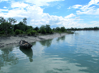 Sundarban Tour Package