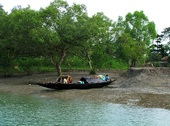 Sundarbans Houseboat Rental