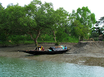 Sundarbans